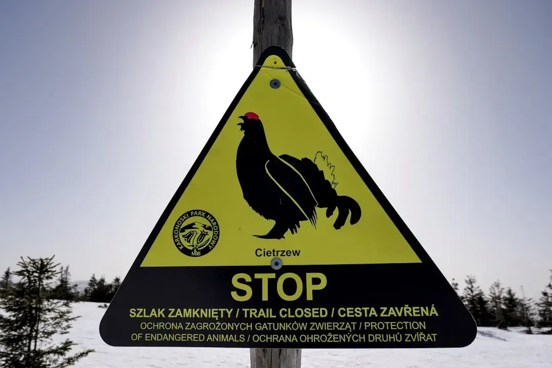 Comitetul de Siguranță Chimică în impas: accidente în creștere, buget în scădere