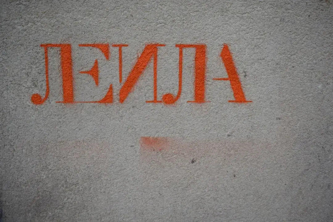 Cum să alegi priza ideală pentru tracțiuni