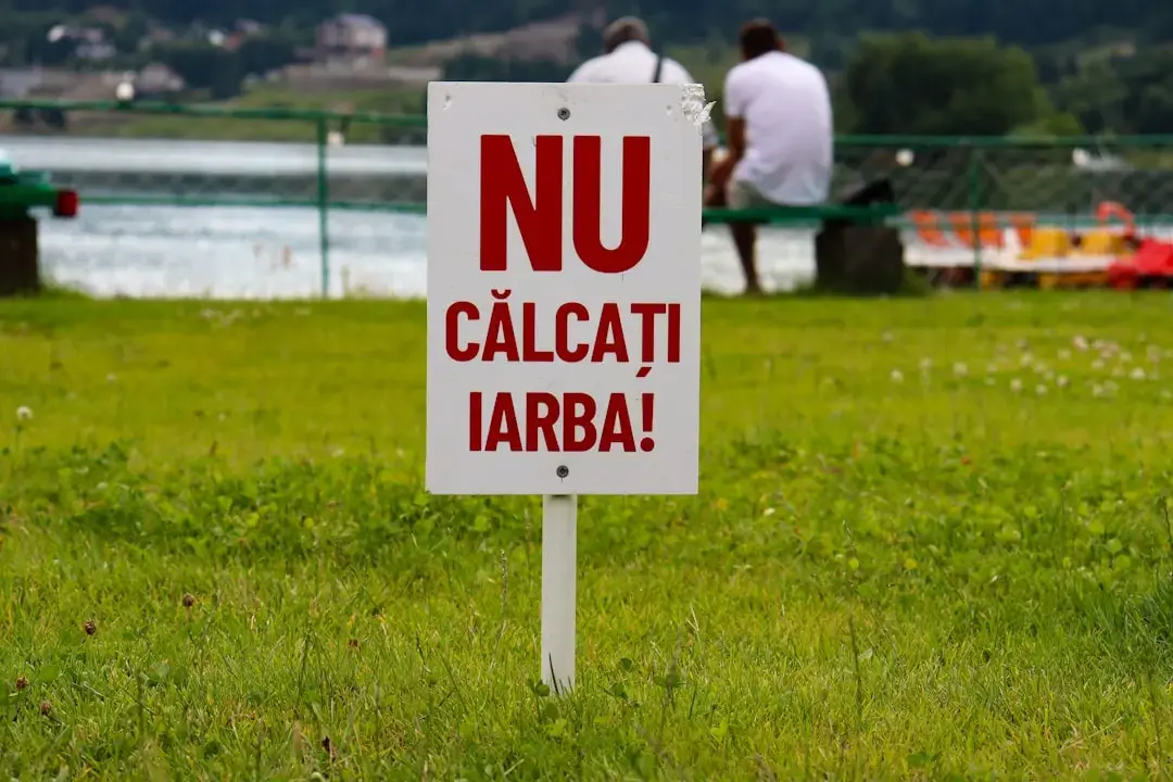 Primăvara schimbă mintea: cum să iertăm și să ne eliberăm
