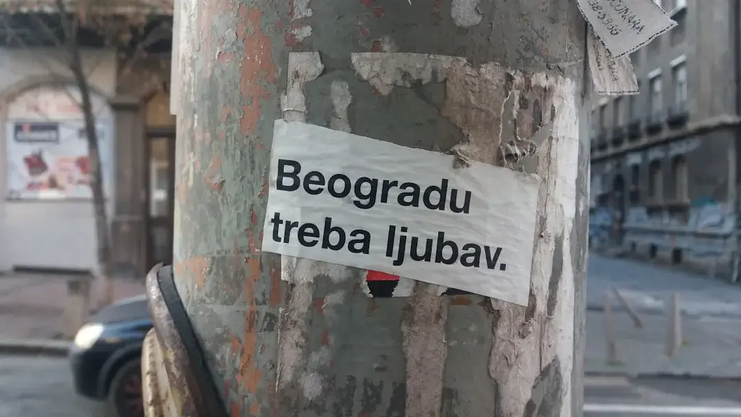Re-cablarea creierului permite multitasking-ul adevărat