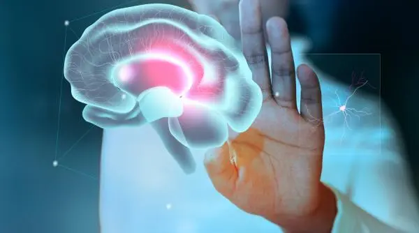 Depresia blochează regenerarea neuronilor: O nouă descoperire despre creier