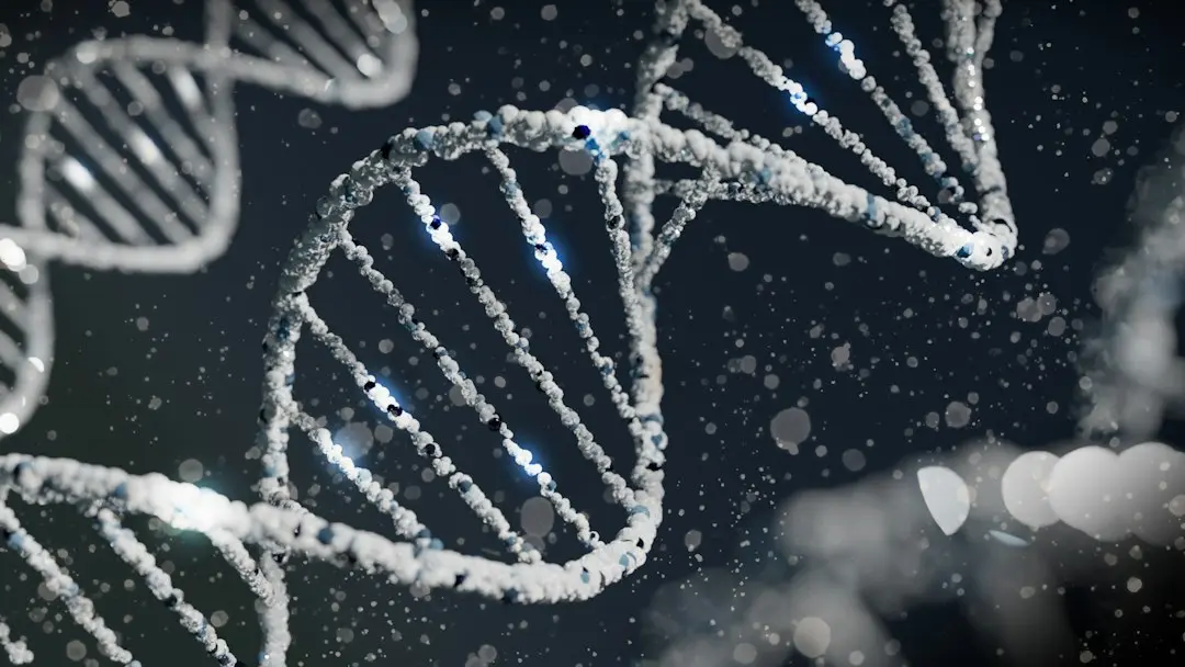 Gene Therapy SIRT6c: Promisiune din Studiul pe Beagle la Toronto