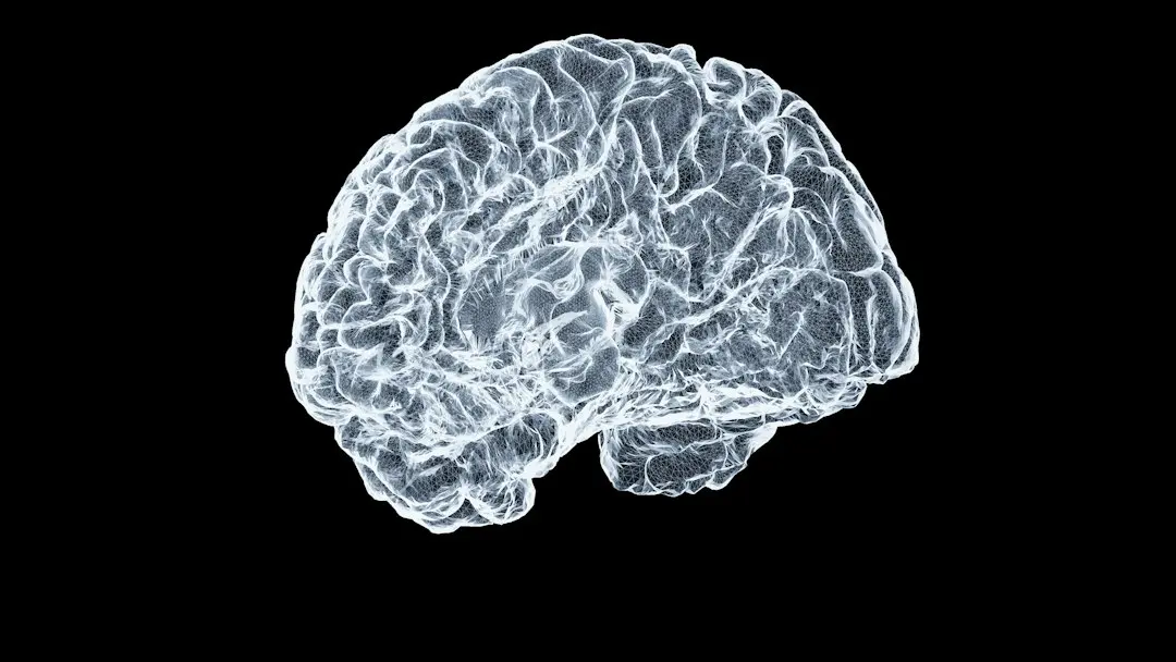 Un circuit cerebral specific explică de ce anxietatea la adolescenți apare atât de devreme