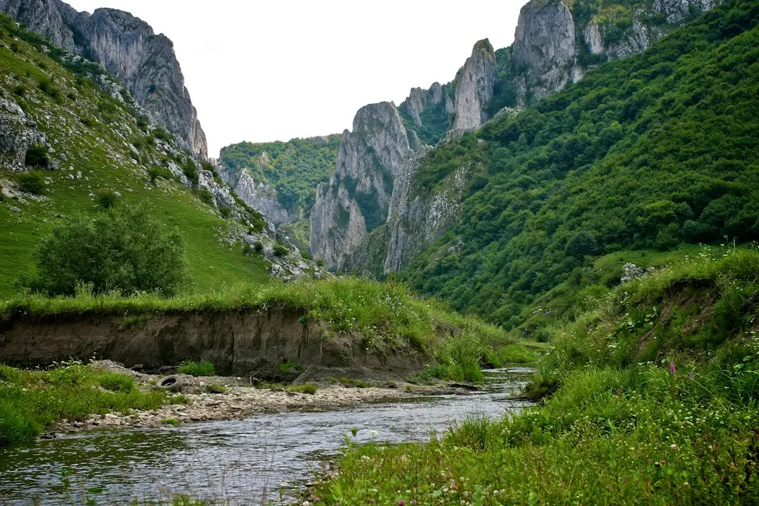 Reziliența copiilor „părinți în lipsă” din China: ce le face să se ridice sau să căadă?