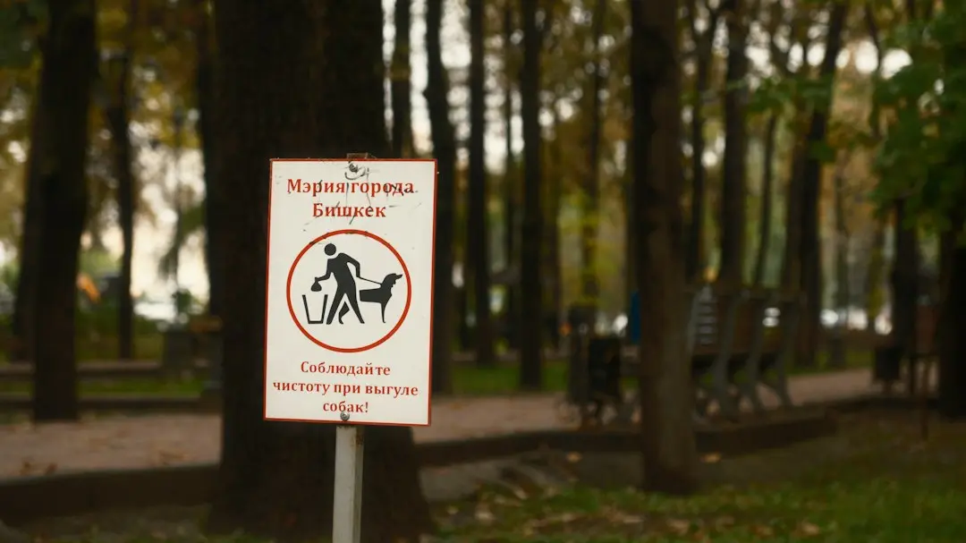Săptămâna PSI: întâlniri despre relații, familie, traumă și atașament